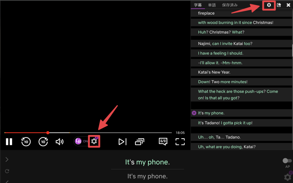 Language Reactorの歯車アイコンをクリックして、Netflixの字幕をスクリプト化する言語設定を開いている画面。